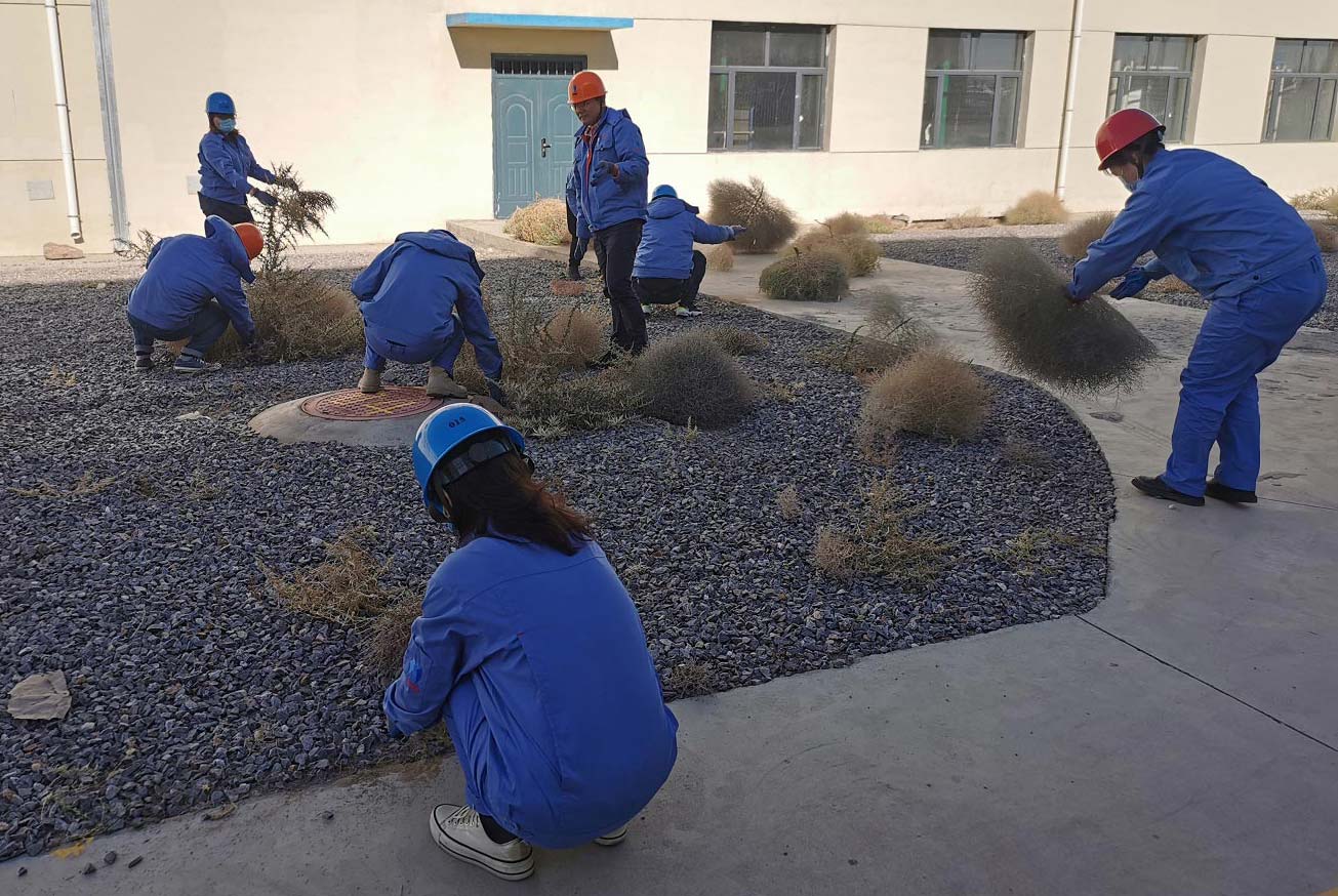 常州送料機(jī)廠清理枯草 常州送料機(jī)廠清理枯草